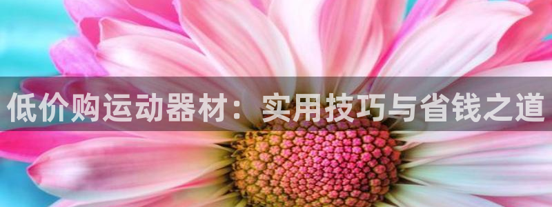 注册fb体育：低价购运动器材：实用技巧与省钱之道
