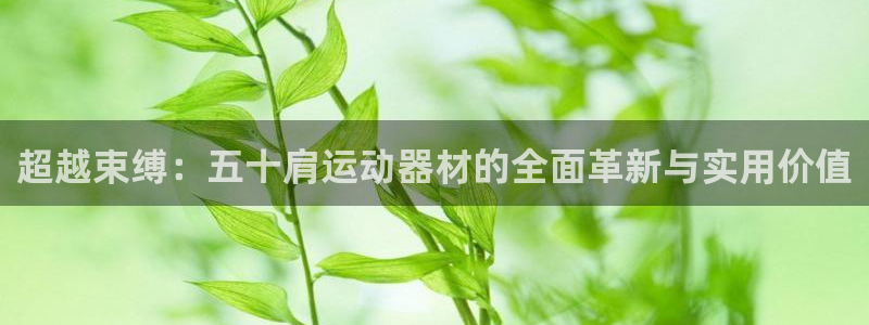 fb体育娱乐首页官网下载：超越束缚：五十肩运动器材的