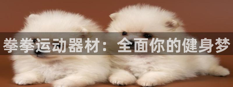 fb体育招商电话号码是多少啊：拳拳运动器材：全面你的