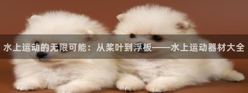 fb体育娱乐：水上运动的无限可能：从桨叶到浮板——水上运动器