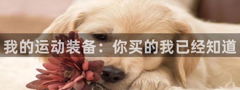 fb体育官方客服电话：我的运动装备：你买的我已经知道