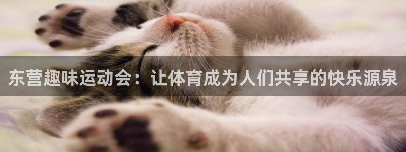 fb体育注册：东营趣味运动会：让体育成为人们共享的快