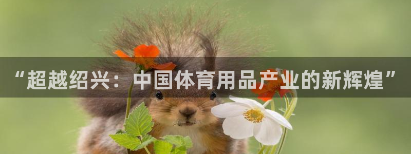 fb体育注册：“超越绍兴：中国体育用品产业的新辉煌”