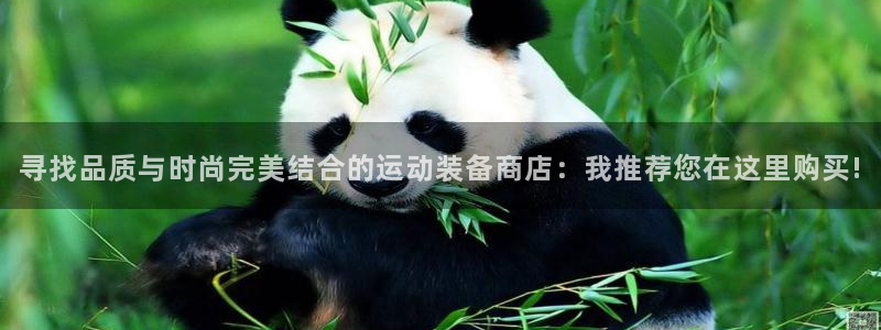 fb体育官网：寻找品质与时尚完美结合的运动装备商店：