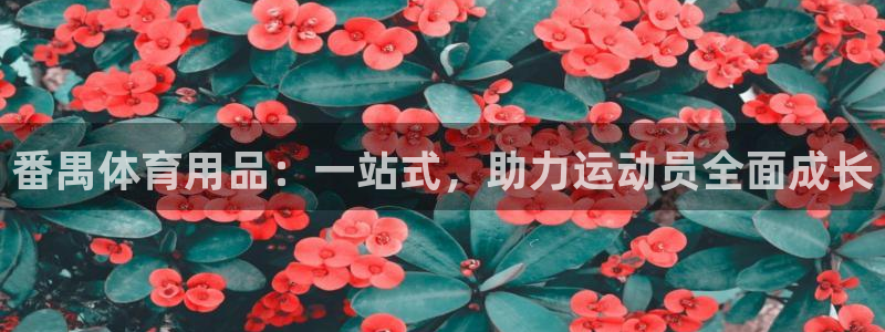 fb体育注册：番禺体育用品：一站式，助力运动员全面成