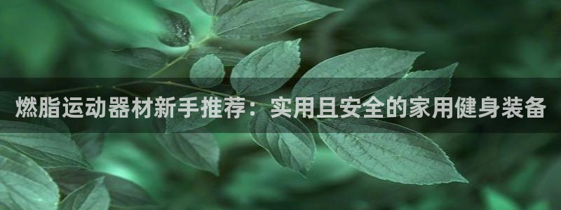 fb体育娱乐：燃脂运动器材新手推荐：实用且安全的家用