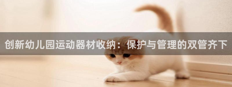 海南fb体育：创新幼儿园运动器材收纳：保护与管理的双