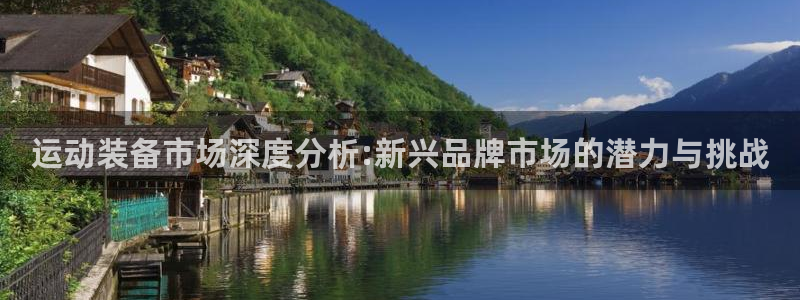 fb体育招商电话地址：运动装备市场深度分析:新兴品牌