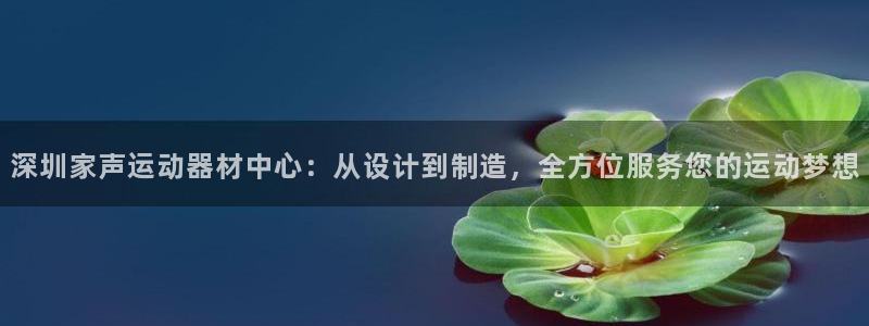 fb体育：深圳家声运动器材中心：从设计到制造，全方位
