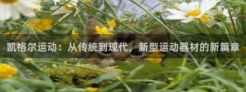 fb体育招商电话地址是多少：凯格尔运动：从传统到现代