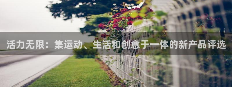 fb体育娱乐首页网站大全：活力无限：集运动、生活和创